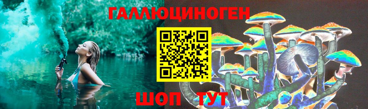Галлюциногенные грибы мухоморы Майский